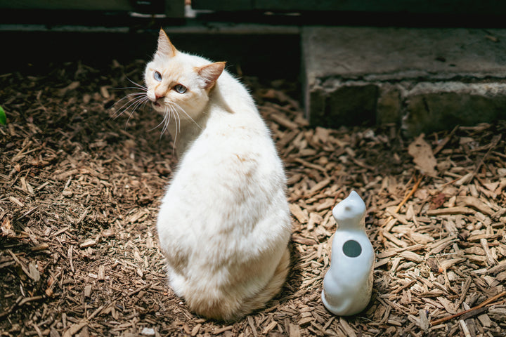 I AM Line Cat Vase