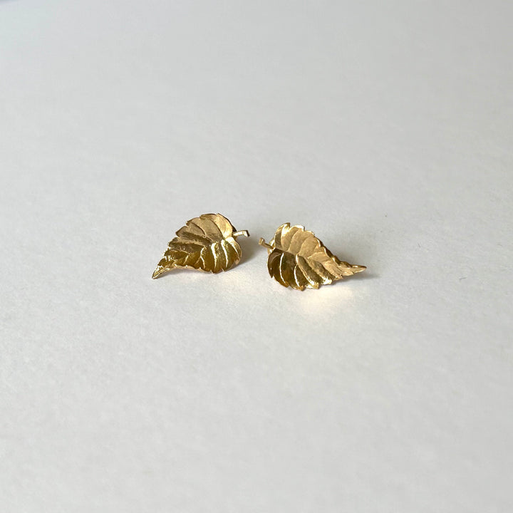 Zelkova Stud Earrings