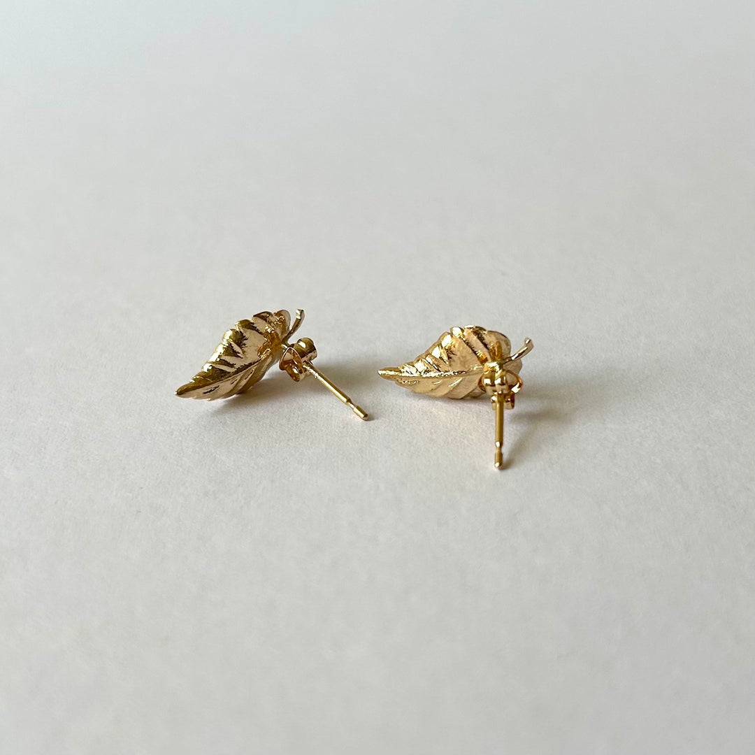 Zelkova Stud Earrings